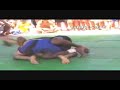 Fernando Tererê Highlight Fernando Tererê Highlight
