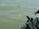 Gregg and Christian Go Fishing