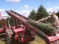Quelques images et faits sur la culture du sapin de Noël au Québec. Visitez la page du MAPAQ pour des statistiques et informations plus exhaustives. www.mapaq.gouv.qc.ca