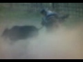 videos de mi primera campanilla