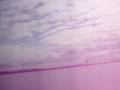 videos de West Caribou Norseman Fly By