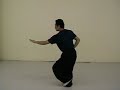 teaching footage: xing yi, ba shi-part of