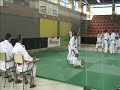 KODOKAN GOSHIN JITSU NO KATA