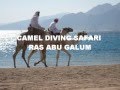 CAMEL DIVING SAFARI - RAS ABU GALUM with EmKa Divers.wmv