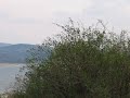 Vlasinsko jezero, Surdulica, Serbia