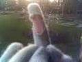 videos de Lovsong Finger