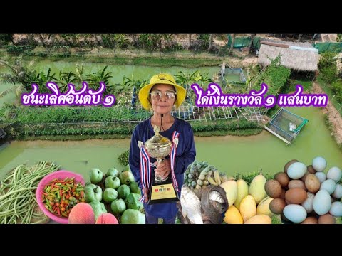 แปลงชนะเลิศอันดับ1ของประเทศ คุณยายวัย62ทำสวนคนเดียว3ไร่ ได้รับเงินรางวัล1แสนบาท