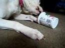 buster and the lebane tub, part 4