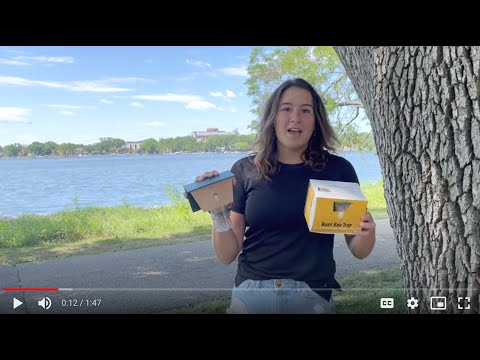 image preview of video showcasing How to Set Up Your Best Bee Brothers Carpenter Bee Trap