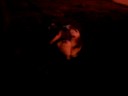 7/25/2008  Bunny Wabbit At Night !   927