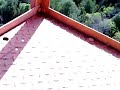 Parque Arturo Alessandri Concepcion.mp4