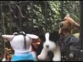 videos de 31 Minutos: Doggy Style