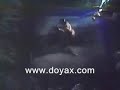 sexy girls wrestling with a man on mud