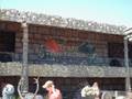 videos de Trem Fantasma - Beto Carrero World