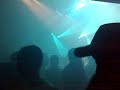 shadok disco shadok disco