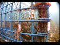 Lobster trap Lobster trap