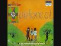 videos de Sunforest -  Mr. Bumble & Overture to the sun
