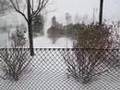 Blizzard Walk