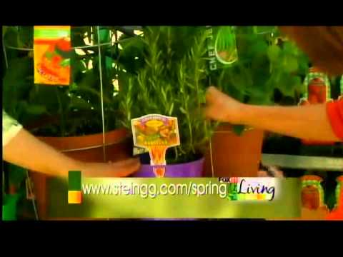 stein gardens and gifts