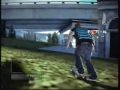 EA skate bridge glitch