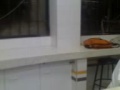 CLASES DE ENCERADO