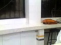 PRIMERA CLASES DE ENCERADO