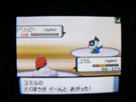 第9回 マイナー・中堅ポケモン中心で対戦する大会 第二回戦 アラン vs ぷよぷよ