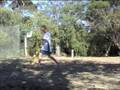 videos de TAC remake
