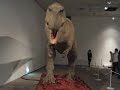 Dinosaurs