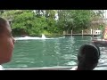Shark Attack