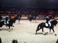 Dressage show freestyle