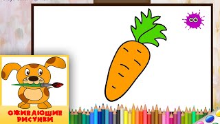 Как нарисовать морковку. Оживающие рисунки