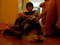 Miao-miao eating