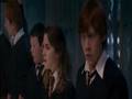 Till the end-Ron Weasley Hermione Granger