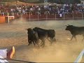 Nuuestro Rincón de Cebreros presenta el vídeo de los encierros de las fiestas de agosto del 2008.