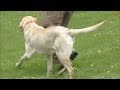 I favorited a YouTube video http://lnk.ms/PM9D3