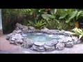 videos de Chew & Heng's Family - Sungai Klah Hot Spring