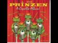 Prinzen - Wer ist der Typ