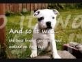 SBT's against Breed Discrimination