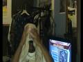 videos de Proof how easy MK2 is
