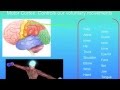 BRAIN BODY FITNESS- MARRYING NEUROSCIENCE AND FITNESS: SUPER BODY, SUPER BRAIN