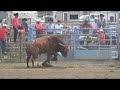 matt-darmody-ulverstone-pro-rodeo-2007.html