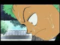 One Piece - Zolo/Zoro - In the End
