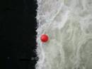 Having a ball on the Pegnitz River, Nuremberg