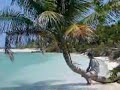 relax with the sound of alka bilk playing the clarinet while looking at beach photos