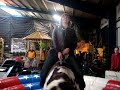 Rodeo