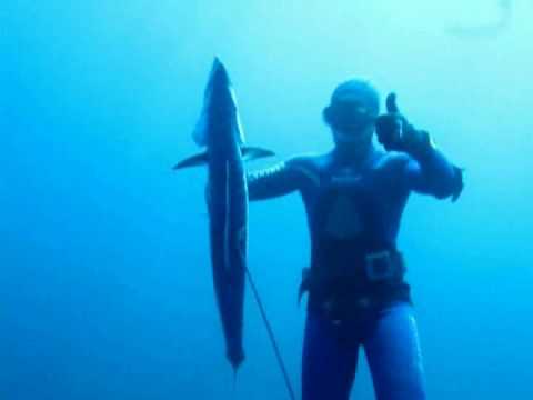 pesca con arpon - Baja Spearfishing 09 www.pistolerosdelmar.com.