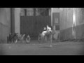 Cute B+W Dog Commercial: State Street - Buried Treasure (HQ)
