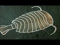 Broadcast (1989) Could a pterodactyl as large as a light aircraft have flown? Did millipedes once grow to six feet long? How did insects become preserved in amber for over 50 million years? All these questions and more are answered through the study of fossils. In his journeys to the most famous fossil sites in the world, David Attenborough discovers a pre-historic world teeming with life and full of enticing clues as to how life evolved. They reveal how dinosaurs hunted, lived in groups and cared for their young. And they offer glimpses of the most bizarre creatures that ever lived, such as tiny horses and an animal that is half bird and half reptile. With the help of expert palaeontologists, fossil enthusiasts from around the world and sophisticated modelling. Lost Worlds, Vanished Lives breathes life into Earth's distant past.
genetics, history, life, science, zoology