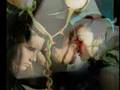 LE CHANT DES FLEURS........ !!